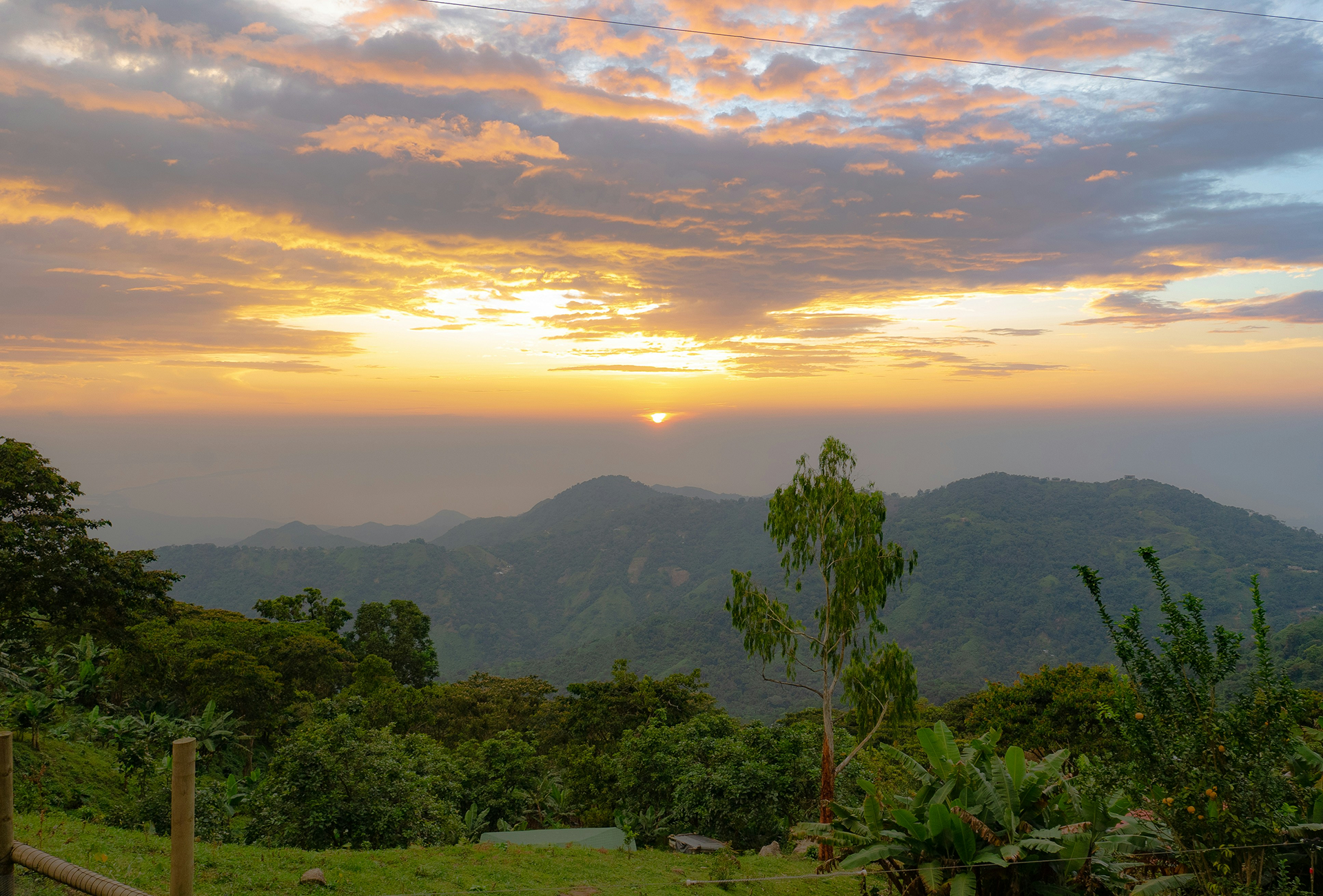 Sunrise over green mountains and tropical vegetation in the Sierra Nevada de Santa Marta, with a dramatic sky in golden and pink tones