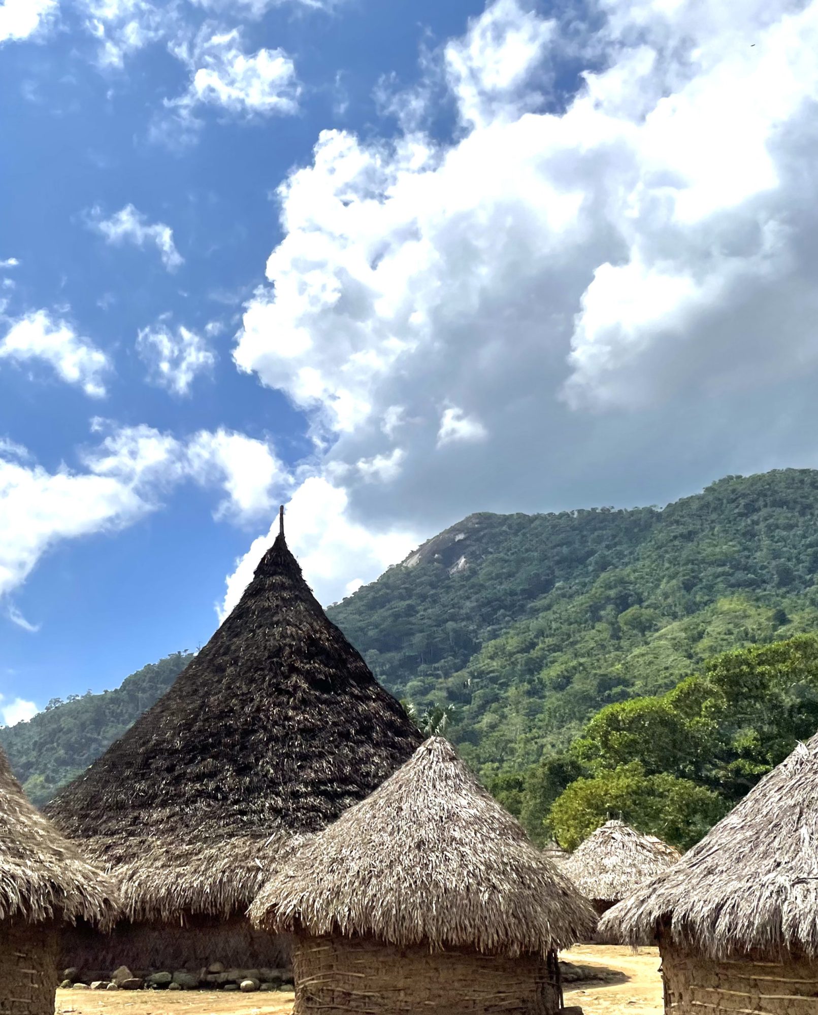 Traditional cone-shaped houses with thatched roofs in a village in the Sierra Nevada de Santa Marta, with green mountains and a cloudy sky in the background